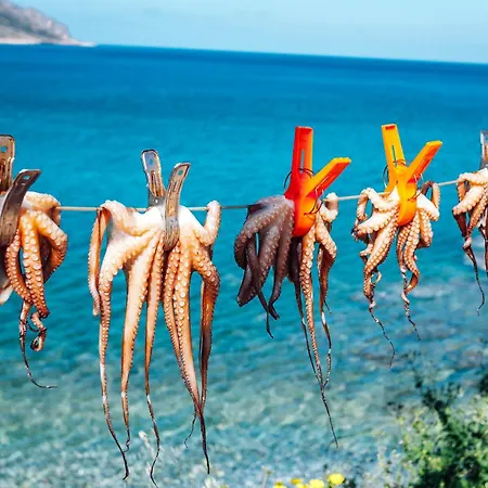 Alex Comfort House Apartament *