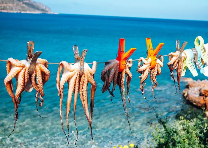 Alex Comfort House Appartement *